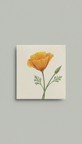 California Poppy Seed Packet